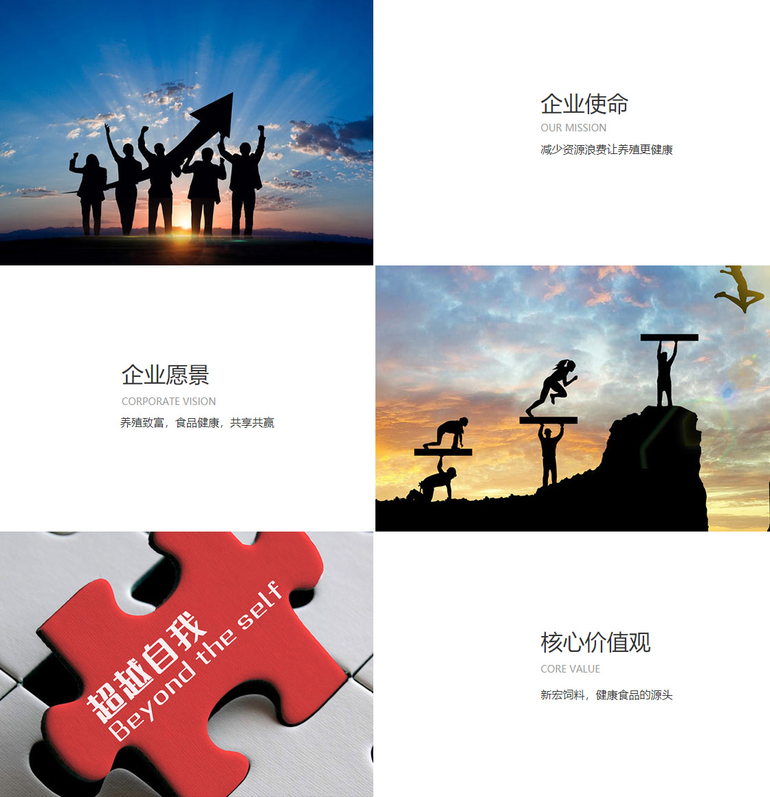 开云官方在线入口(图1)